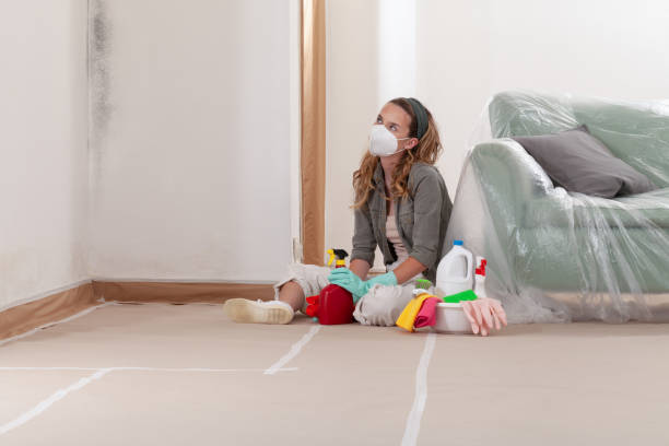 Reliable Mold Cleanup contractor in Olney, MD by WQB Mold Removal